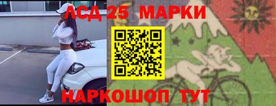 дмт Будённовск