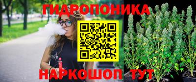 дмт Будённовск