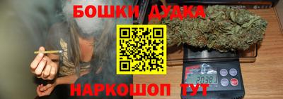 индика Бузулук